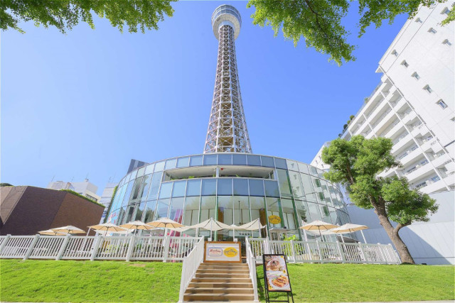 横浜マリンタワーを階段で昇ろう!!